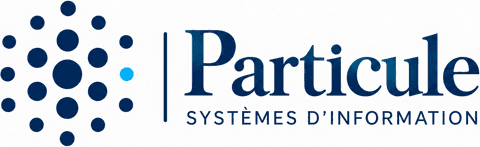 Particule Consulting