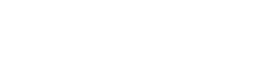 Particule Consulting